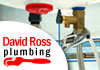 David Ross