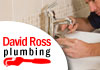 David Ross