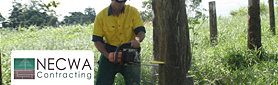 Professional Tree Felling Services In Your Area!