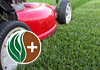 Lawn Therapy - Lawn Services