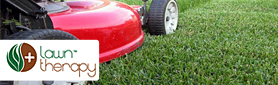Lawn Therapy - Lawn Services