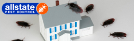 Got Pests In Your Home? We'll Solve Your Problem!