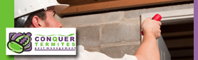 Comprehensive Termite Inspection Service