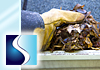 Swipeout Window Cleaning - Gutter Cleaning