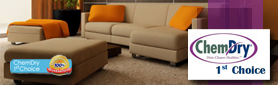 Your Premier Carpet & Upholstery Cleaning Specialists!