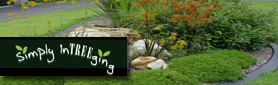 Simply Intreeging - Garden Design, Gardening & Lawn Services