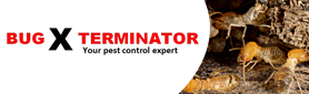 Pest Control Treatments That Suit You!