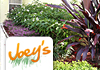 Joey's Mowing & Maintenance Service