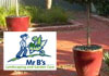 Mr B's Landscape and Garden Care - Paving & Retaining Walls 