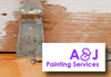 Commercial & Strata Painting Specialist