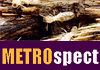 Metrospect Building & Pest  Inspections