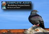 Needing A Thorough Pest Inspection Done Before Purchase?