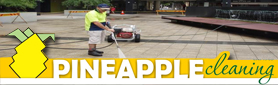 Pineapple Cleaning Services - High Pressure Cleaning