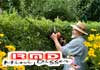 RMD Mini Diggers