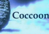 Coccoon Renovations & Constructions