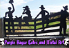 Purple Hayze Gates and Metal Art