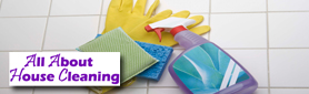All About House Cleaning
