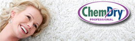 Upholstery & Rug Cleaning Services