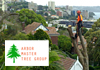 Looking For A Professional & Reliable Arborist & Tree Feller?