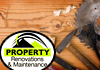 Property Renovation & Maintenance