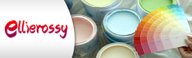 Do You Need Help Decorating or Choosing Colours For Your Home?