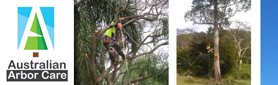 Australian Arbor Care - Expert Tree Feller & Arborist Services