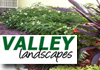 Valley Landscapes