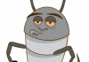 Drop Dead Pest Control Campbelltown