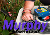 Murphy Electrical