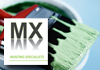 MX Painting Specialists