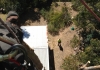 Greenscene Professional Tree Services