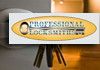 Professional Locksmiths