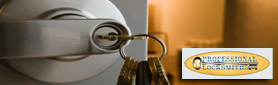 Professional Master Locksmith Services