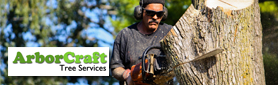 ArborCraft Tree Services Pty Ltd - Arborist & Tree Management Specialists