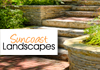 Suncoast Landscapes