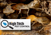 High Tech Pest Control