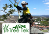 Alive Tree Tek