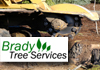 BRADY TREE SERVICE