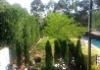 Plant n Pave