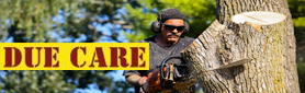 Lawn Care And Tree Felling Service