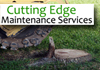 Professional Tree Feller Services