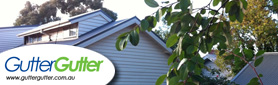 Your Roofing Specialists!
