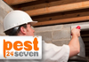 Pest 24 Seven
