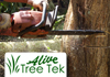 Alive Tree Tek