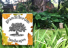 Grandiflorum Landscapes