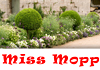 MiSS MOPP