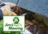 Jims Mowing - Gutter Cleaning