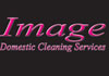 Domestic Cleaning Services