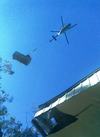 Angophora Tree Services