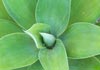 Contemporary Landscapes & Maintenance Pty Ltd
